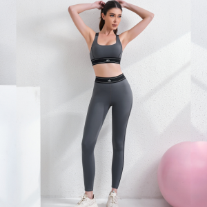 Set Alo yoga Gris